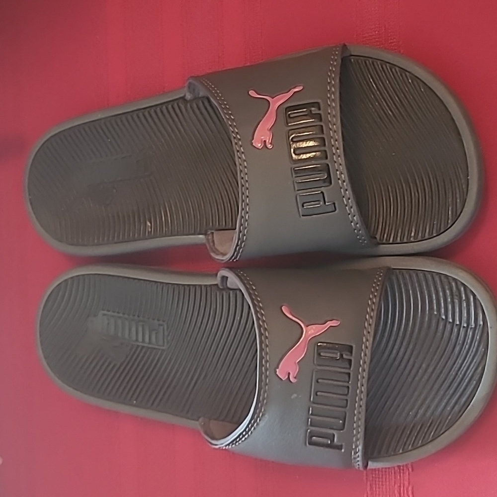 Puma slides